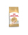 ROYAL CANIN Sphynx Adult 2kg - nr 1