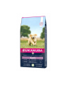 EUKANUBA Puppy  Junior Lamb  Rice 12kg - nr 1