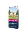 EUKANUBA Large Breed Lamb Rice 12kg - nr 1