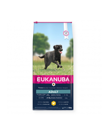 EUKANUBA Adult Large Breed Chicken 15kg