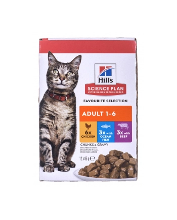 HILL'S Feline Adult Multipack Classic 12x85g nr 2