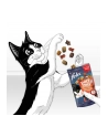 FELIX PARTY MIX Mixed Grill 60g - nr 8