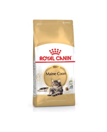 Royal Canin MAINECOON 4 kg nr 1