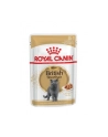 ROYAL CANIN British Shorthair pakiet 12x85g - nr 1