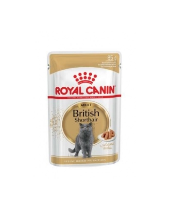 ROYAL CANIN British Shorthair pakiet 12x85g nr 1