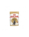 ROYAL CANIN British Shorthair pakiet 12x85g - nr 3