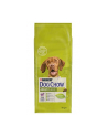 Karma PURINA NESTLE DOG CHOW ADULT Jagnięcina (14 kg ) - nr 1
