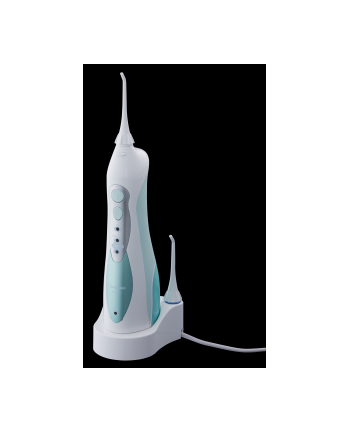 Panasonic EW1311, oral care