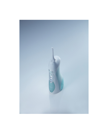 Panasonic EW1311, oral care