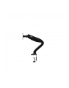 Aoc As110D0 Desk Mount (Adjustable Arm) - nr 17