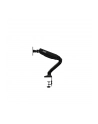 Aoc As110D0 Desk Mount (Adjustable Arm) - nr 24