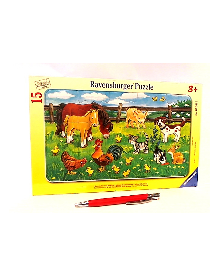 Puzzle 15el ramkowe Zwierzęta domowe 060467 RAVENSBURGER główny