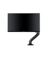 Aoc As110D0 Desk Mount (Adjustable Arm) - nr 10