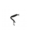 Aoc As110D0 Desk Mount (Adjustable Arm) - nr 16
