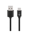 Pro USB 3.1 C - USB 2.0 A (M) BK - 1.8m (4040849554681) - nr 3
