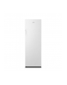 GORENJE FN4172CW 202223 - nr 2