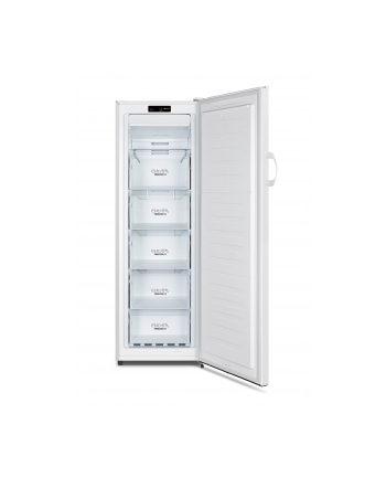 GORENJE FN4172CW 202223