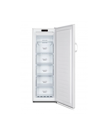 GORENJE FN4172CW 202223 nr 1