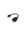 Lenovo mini DisplayPort/DisplayPort (4X90L13971) - nr 3