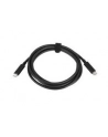 Kabel USB Lenovo USB-C - USB-C 2m czarny (4X90Q59480) - nr 11