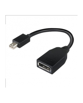 Lenovo mini DisplayPort/DisplayPort (4X90L13971)