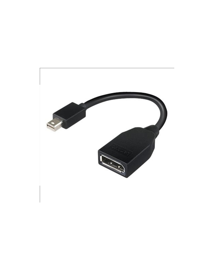 Lenovo mini DisplayPort/DisplayPort (4X90L13971) główny