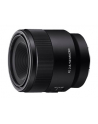 Sony SEL 50mm FE F2.8 Macro - nr 7
