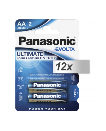 Panasonic Evolta AA (LR6EGE/2BP)