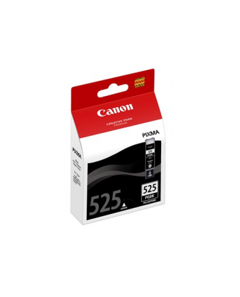 Print4you Analog Canon PGI-525Bk  Ink Cartridge  Black