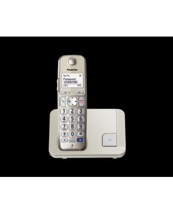 Panasonic KX-TGE210FXN