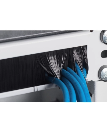 ASSMANN  PROFESSIONAL (DN97660) nr 1