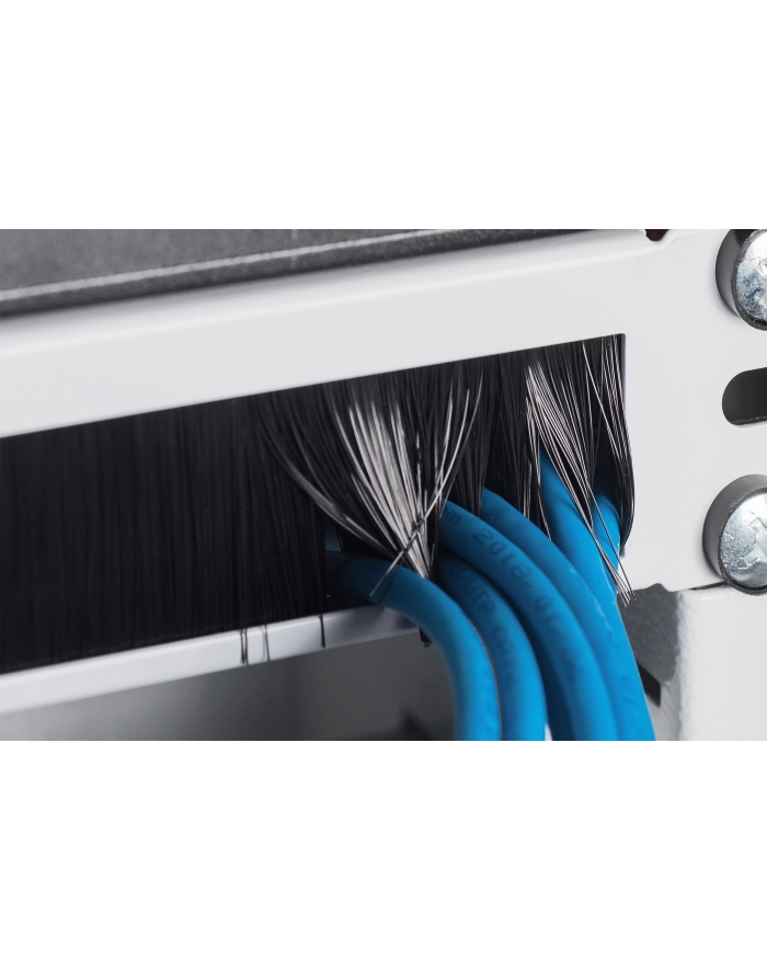 ASSMANN  PROFESSIONAL (DN97660) główny