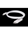 Club 3D USB C - DisplayPort (M/Ż) Biały 1.2m (CAC-1517) - nr 49