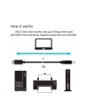 Club 3D USB 3.1 Typ C USB Typ B 1m (CAC-1524) - nr 28