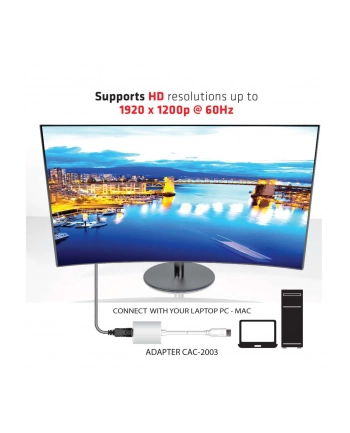 Club 3D DisplayPort - D-Sub 0.25m Biały (CAC-2003) nr 1
