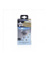 Tommee Tippee Butelka Dekorowana 260Ml Boy 1 Szt. - nr 1