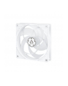Arctic P12 PWM PST Biało-przezroczysty 120mm (ACFAN00132A) - nr 11