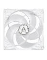 Arctic P12 PWM PST Biało-przezroczysty 120mm (ACFAN00132A) - nr 25