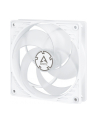 Arctic P12 PWM PST Biało-przezroczysty 120mm (ACFAN00132A) - nr 26