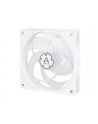 Arctic P12 PWM PST Biało-przezroczysty 120mm (ACFAN00132A) - nr 4