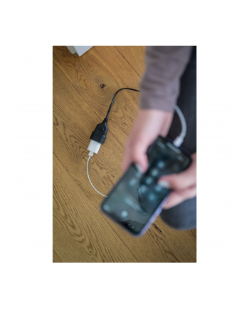 Brennenstuhl 1161800 (1161800)