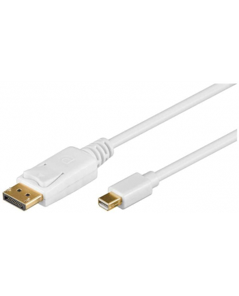 Wentronic 1m DisplayPort Cable (52858)