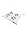 Digitus Cooling Unit for 19'' Installation (DN-19 FAN-4-HO) - nr 15
