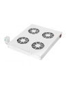 Digitus Cooling Unit for 19'' Installation (DN-19 FAN-4-HO) - nr 17