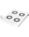 Digitus Cooling Unit for 19'' Installation (DN-19 FAN-4-HO) - nr 28