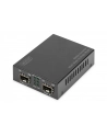 DIGITUS  PROFESSIONAL (DN82133) - nr 15