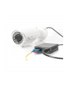 DIGITUS  PROFESSIONAL (DN82160) - nr 26