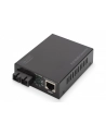 DIGITUS  PROFESSIONAL (DN82160) - nr 27
