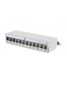 DIGITUS  PROFESSIONAL (DN93706) - nr 1