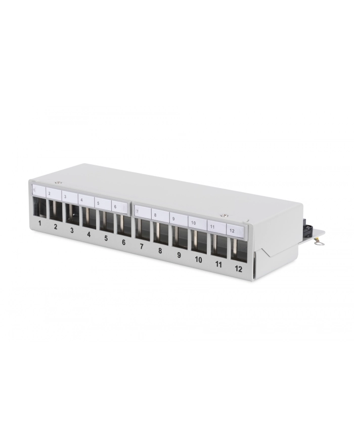 DIGITUS  PROFESSIONAL (DN93706) główny